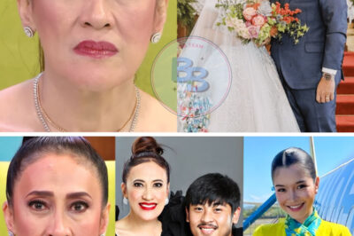 SHOCKING CONFESSION: AiAi Delas Alas, INAMIN ANG TUNAY NA DAHILAN NG PANLOLOKO AT PANGBABABAE NI GERALD SIBAYAN!