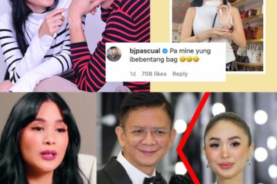 BUONG DETALYE sa Hiwalayan Issue ni Heart Evangelista at Chiz Escudeo! Alamin ang Totoo!