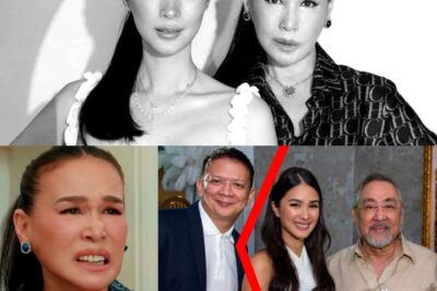 NAGLABAS Na ng SALOOBIN ang Ina ni Heart Evangelista sa Hiwalayan Issue Nila ni Chiz Escudero!